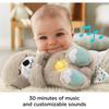Fisher-Price Soothe 'n Snuggle Otter