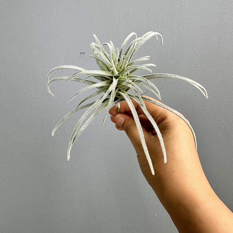 

Wedding Flocking Succulent Air Grass Artificial Plant Balcony Decoration Plastic Pineapple Grasses Simulation Green Plants 5pcs