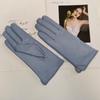 Ladies Sheepskin Gloves Classic Solid Color Versatile Leather Spring Knit Lining Cycling Driving Gloves Autumn