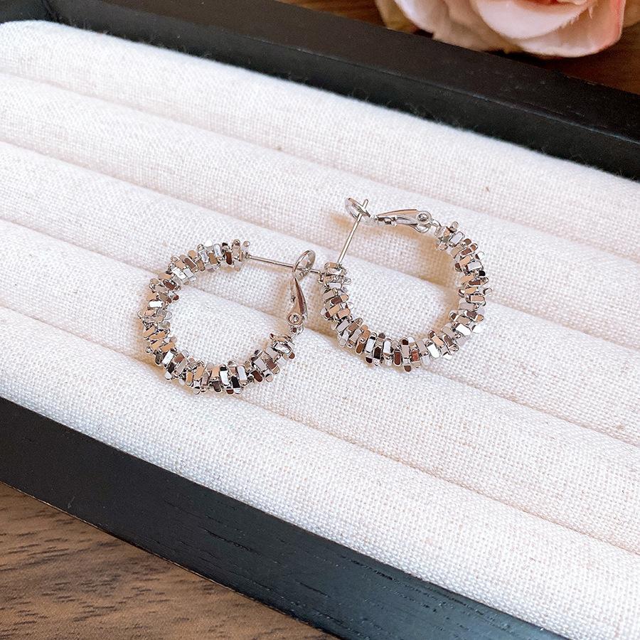 Silver Needle Irregular Broken Tremella Ring Retro ins Simple and Exquisite Commuter Earrings Light Luxury Premium Earrings