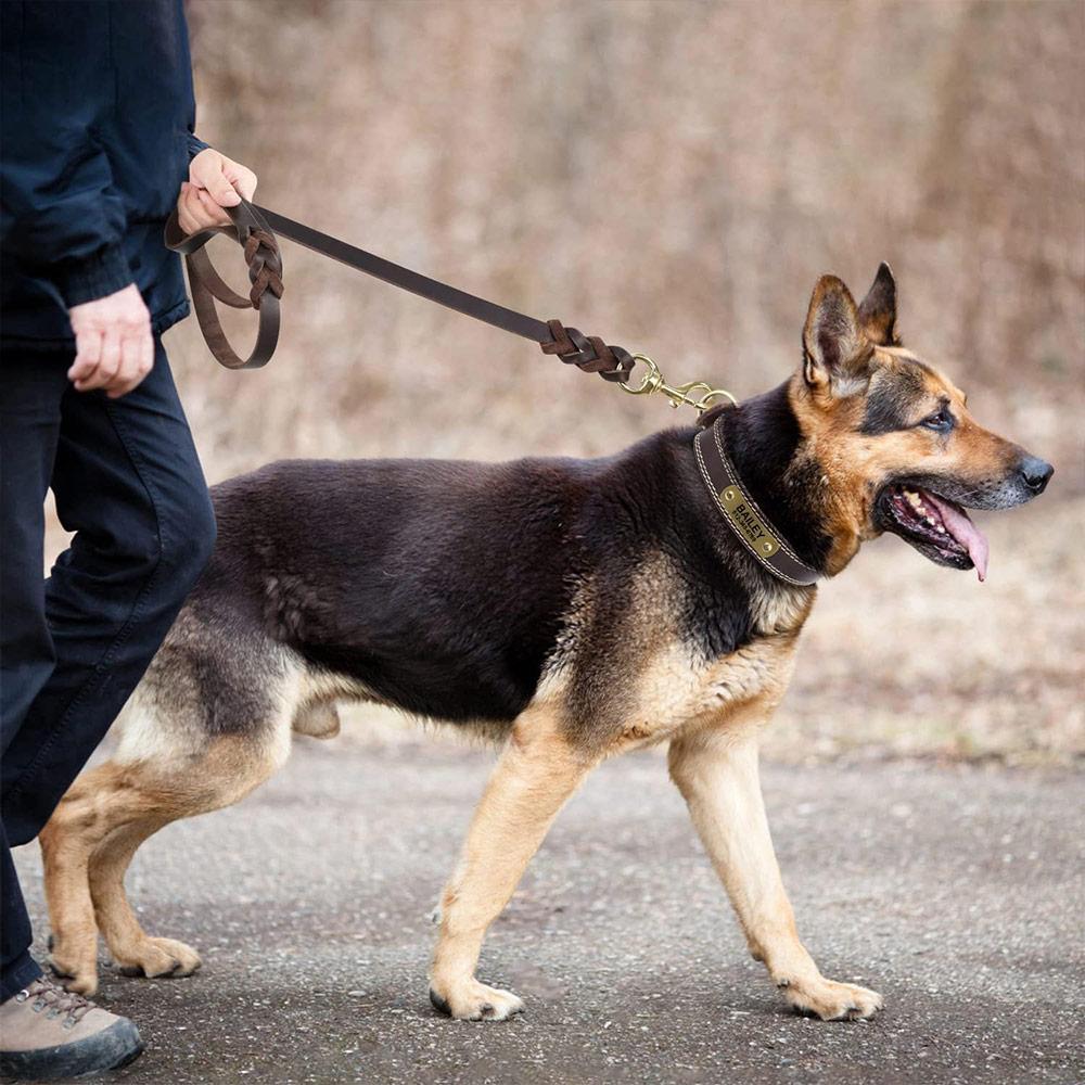 1,2-2,1m Hundeleinen mit Haken Echte Lederleine Haustier Laufen Training Braune Schwarze Farben Für Mittlere Haustiere Schäferhund Greyhound