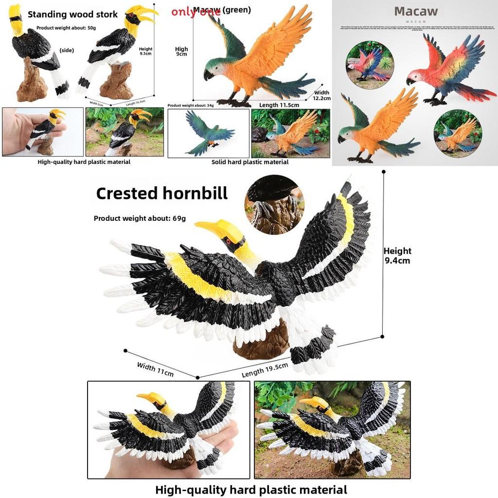 Wildlife Animal Model Solid Plastic Parrot Bird Display Figure For Kids Playroom Decor