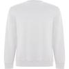 Roly Eco Unisex Adult Batian Organic Sweatshirt