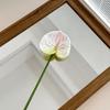 Fiore Artificiale Anthurium Rosso Flamingo Stampato in 3D per Matrimoni e Arredamento Casa