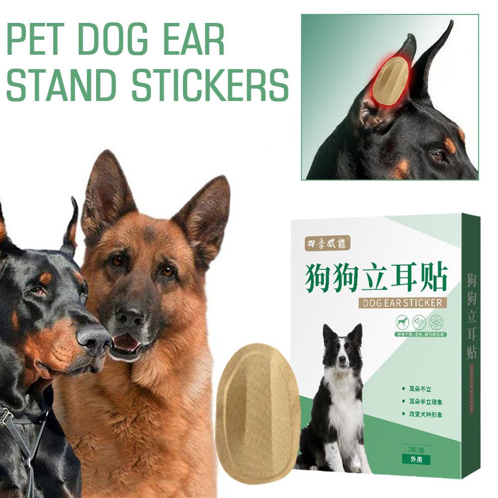 Dog Ear Stand Up Stickers Practical Corrective Dog Ear Stickers Ear Lifting Patch Dog Ear Posting Kit for Samoyed Shepherd