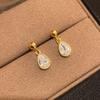 S925 Sterling Silver 18K Gold Plated Teardrop Zircon Earrings - Women's High-End Dangle Earrings with Exquisite Design