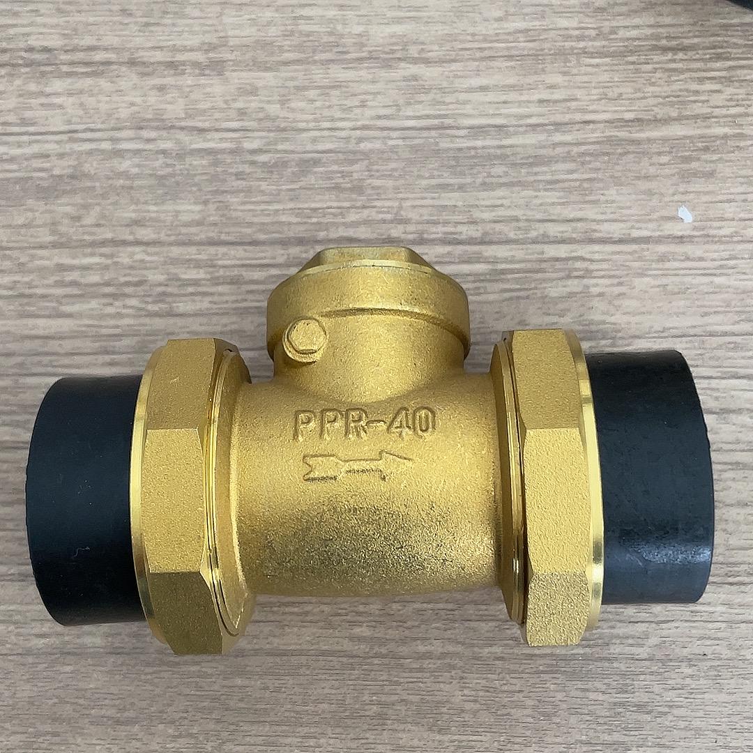 

Горизонтальний латунний зворотний клапан PPR для гарячого розплавлення, запобігання зворотному потоку та зворотного руху - Доступний у розмірах 4 точок, 6 точок та 1 дюйм.