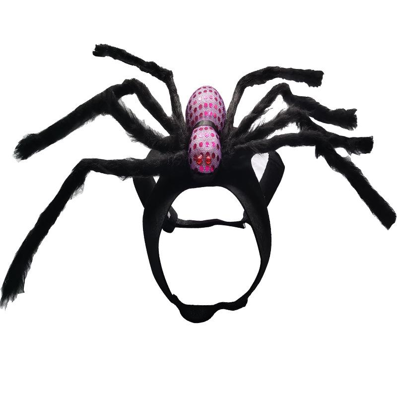 Spider and Skull Costume for Small to Medium Pets