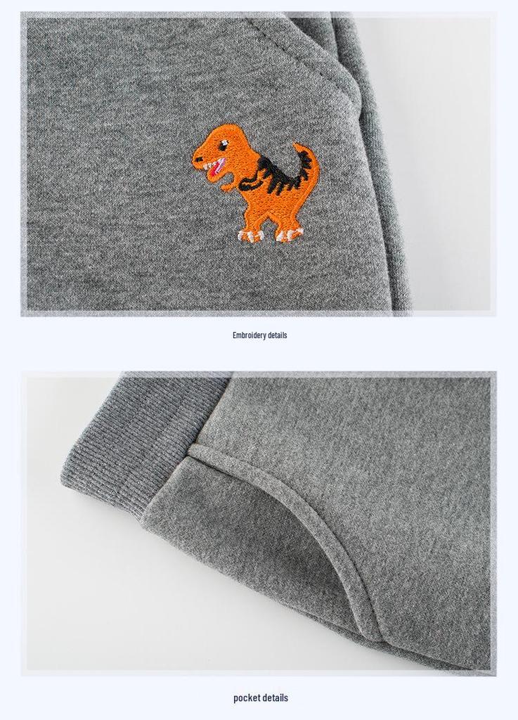 Autumn 2024 Korean-Style Fleece Sports Pants for Boys: Children's Long Pants