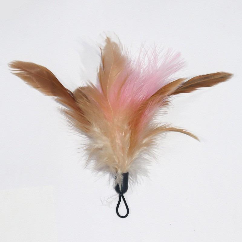 Long Steel Wire Rod Feather Bell Interactive Cat Teaser Toy With Replacement Head