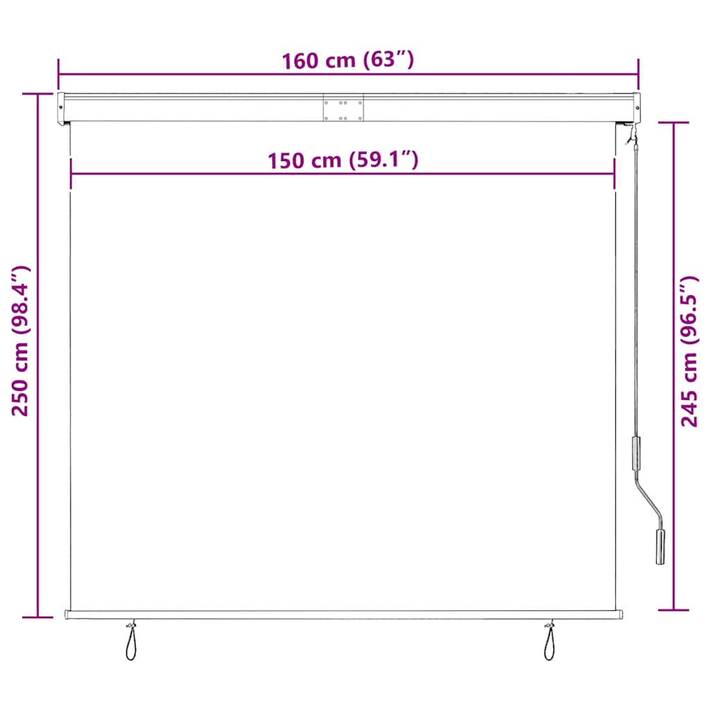 Outdoor Roller Blind 160 x 250 cm Cream