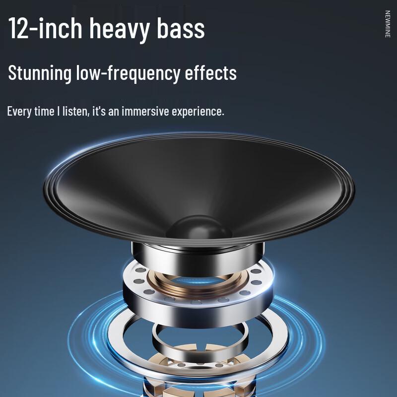 Newmine Portable Bluetooth Karaoke Speaker with Dual Mics (CN Version)