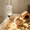 Small Animal Bottle with Roller Ball - Drinking Dispenser for Hamsters, Pigs, Rabbits, Chinchillas, Hedgehogs