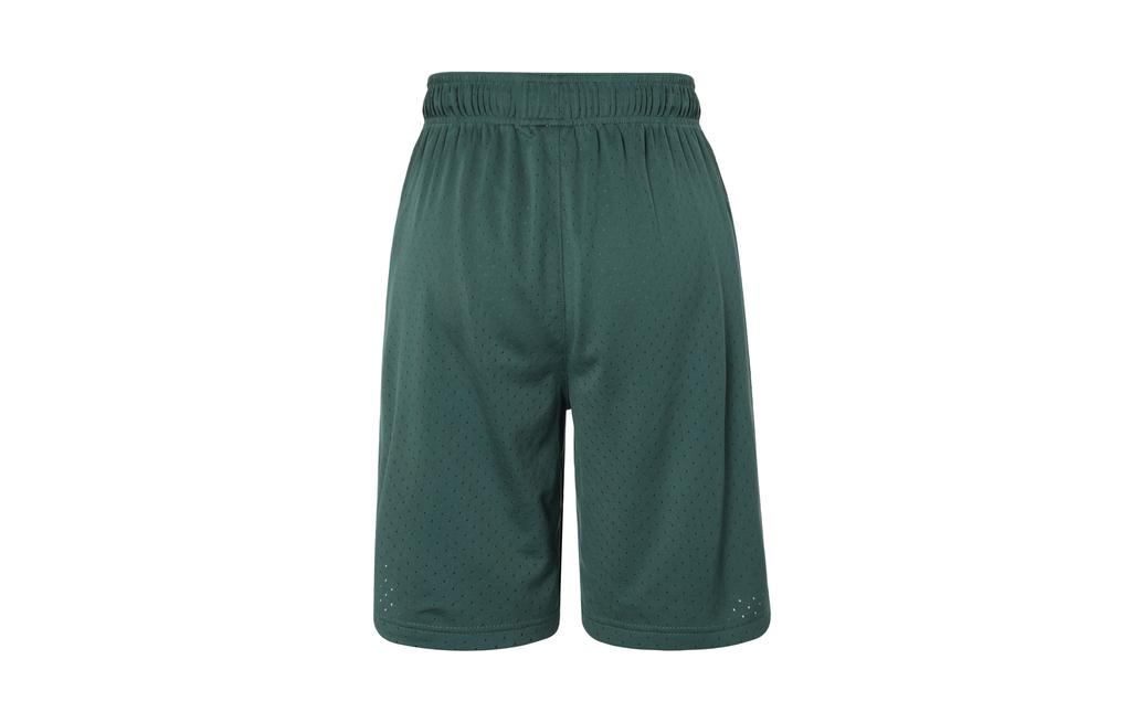 Jordan Sport Dri FIT Sports Shorts Men's Oxidation Green/White FZ9986-366