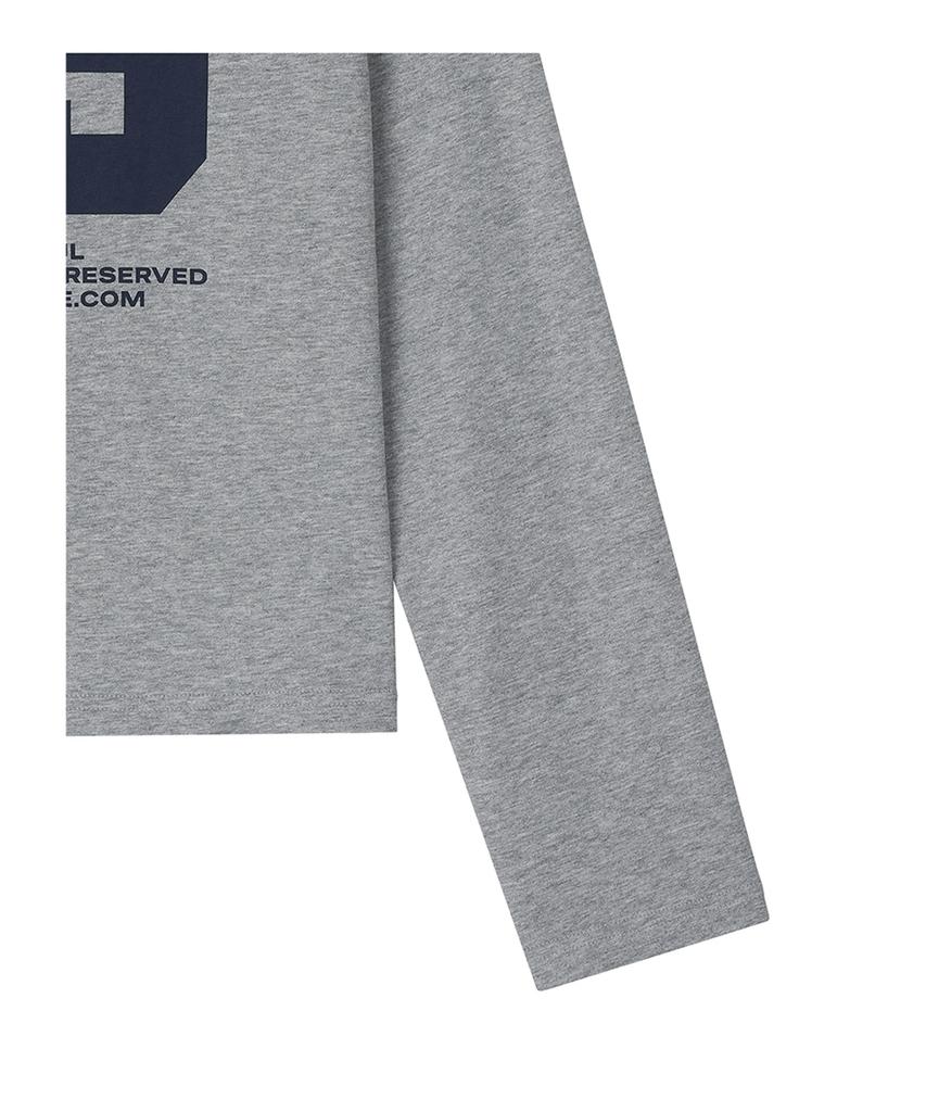 ROUGHTYPE 89 Crop Long Sleeve - Gray