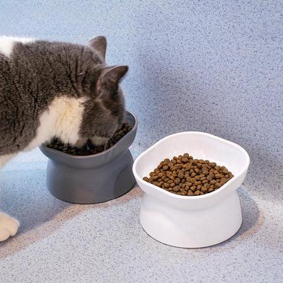 Ciotola Doppia Elevata di Grande Capacità per Animali Domestici per Gatti e Cani