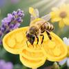 Bee Insect Drinking Beekeeping Drinking Fountain Cup Feeding Drinker Bee Watering Station Bee Feeder Garden Decor