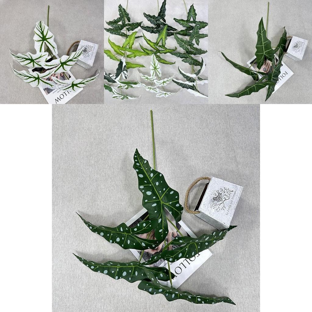 Alocasia Odora Plastik Grünpflanze mit lebhaften Blattfarben für Hochzeitsveranstaltungen und Heimgebrauch