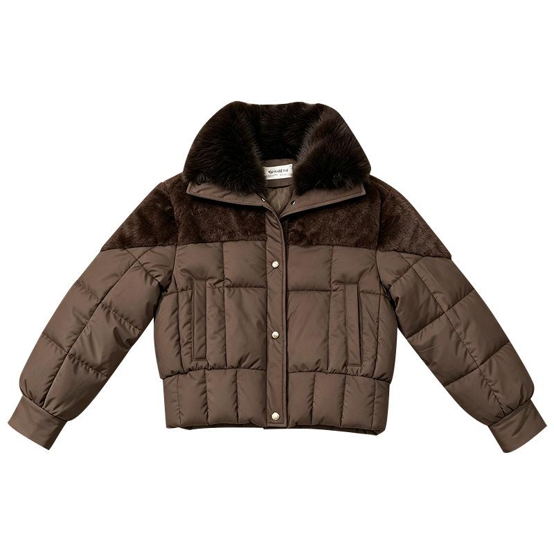 Big fur collar short down cotton clothes women's winter new unique and beautiful winter clothes thickened bread clothes thick coat