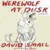 The Werewolf At Dusk And Other Stories by David Small Hardback Book 9781324092827
