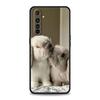Cute White Baby Rabbits Phone Case For Realme 12 11 10 9 8 5G 7 6 GT5 GT3 GT2 Pro C21 C25 C35 For Realme GT Neo 2 3 3T 5 Cover