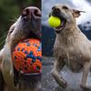 Durable Pet Chew Ball Interactive Training Toy for Dogs Spot Pattern Round Shape Non-Toxic Material Safe for Puppy Teeth Cleaning