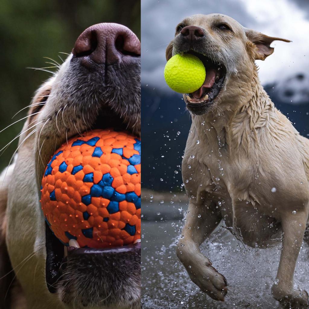 Durable Pet Chew Ball Interactive Training Toy for Dogs Spot Pattern Round Shape Non-Toxic Material Safe for Puppy Teeth Cleaning
