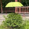 Tessuto Resistente alle Intemperie Tenda da Sole da Giardino Palo Metallico Ombrellone Pieghevole Ombrello da Pesca Aiuole da Giardino