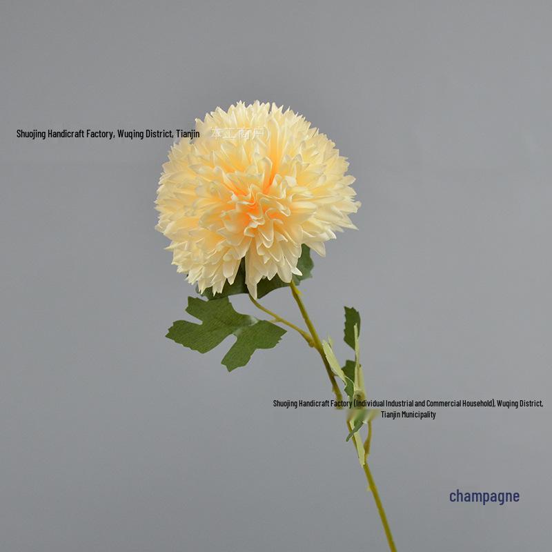 Green Onion Ball Single Stem Chrysanthemum Gift Box Bouquet and Floor Stand Accessories