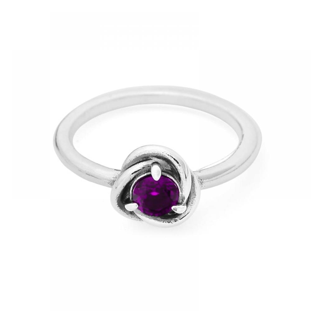 Pandora 192993c02 Moment February Birthstone Purple Eternity Circle Silver Ring
