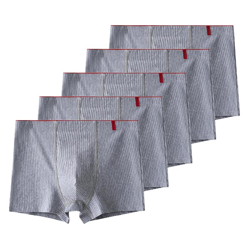 5 kusů Pánské bavlněné boxerky Antibakteriální spodní prádlo Pánské kalhotky XL XXL 3XL 4XL 5XL