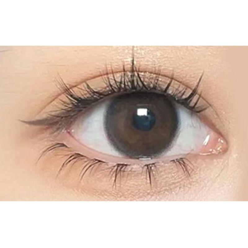 Aimo - Bottom False Eyelashes