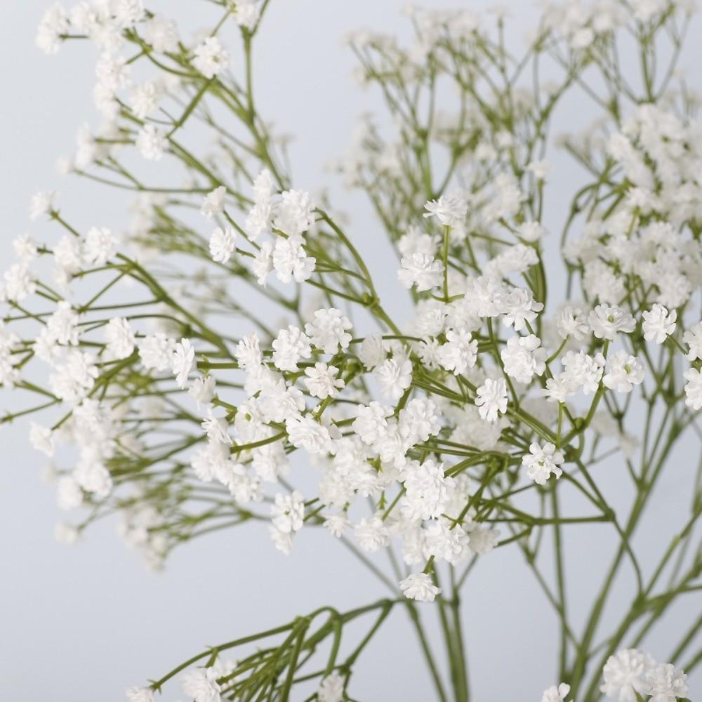 Echte Berührung Künstlicher Schleierkraut-Blütenzweig Elegante Plastik-Simulation Schleierkraut-Blüte Handgefertigte Florale Handwerkskunst Kunst