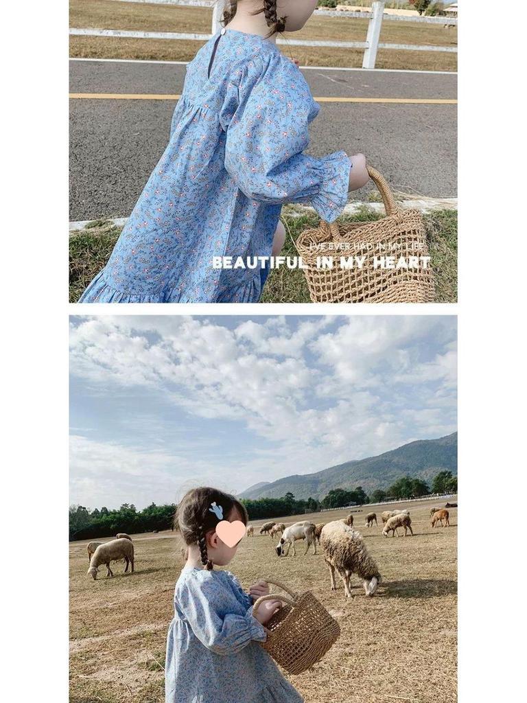 Girls' Floral Long-Sleeve Mid-Length Spring 2025 Princess Dress - Korean Pastoral Style