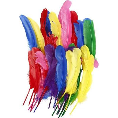 Quality Feathers - Ref 51818 - Bright Colors - Pack of 6 Different Colors
