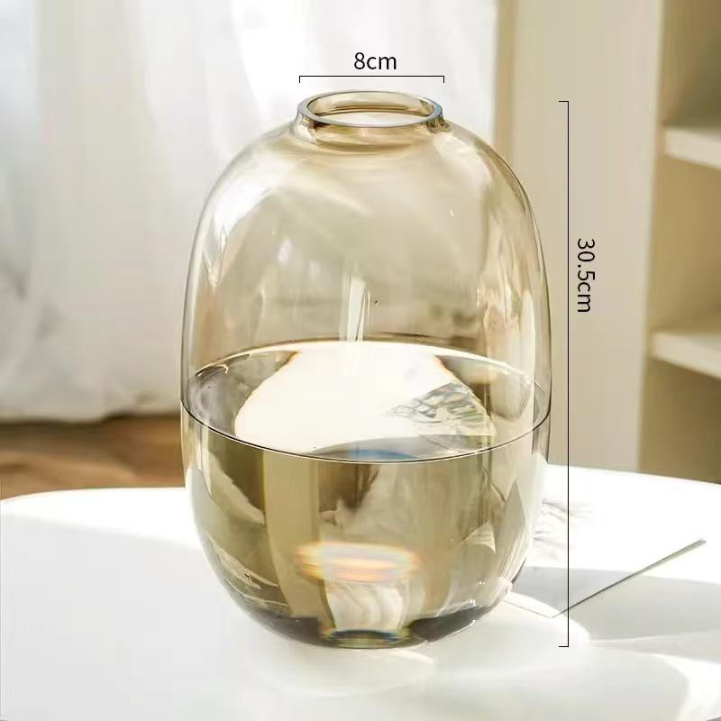 Minimalist Large Belly Glass Joy Vase for Hydroponic and Indoor Green Plants, Japanese Style