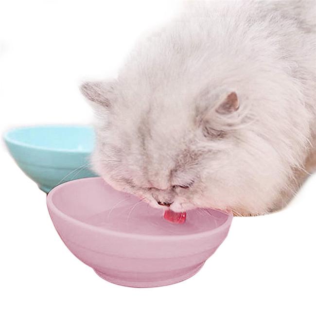 flat face cat bowl