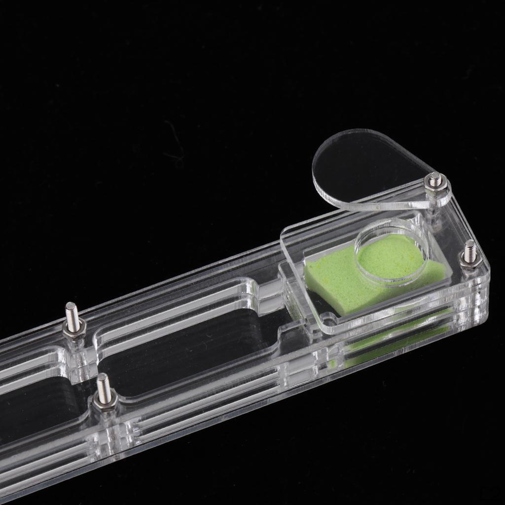 Small Housing Acrylic Nest Feed Farm Formicarium Box