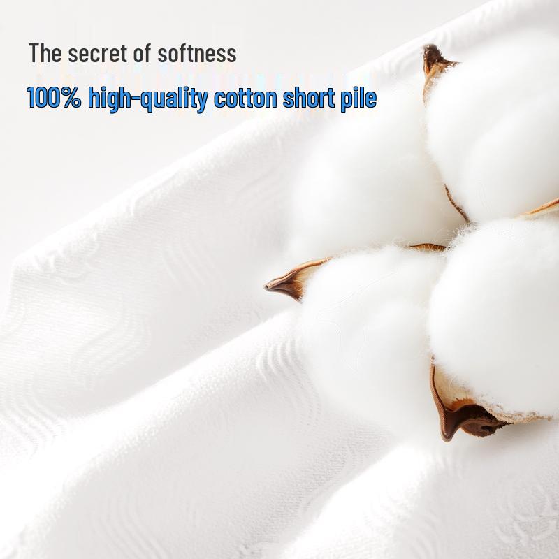 BadiGao Portable Disposable Face Towel