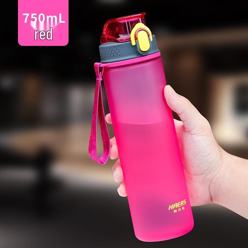 HAERS Frosted PC Water Bottle