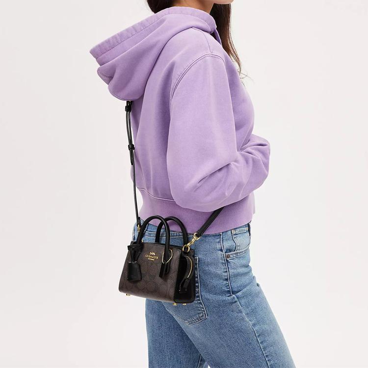 Coach Andrea 15 Logo Dorato Monogramma Classico Tela Rivestita E Pelle Liscia Borsa Tote Borsa Shopping Borsa a Spalla Tracolla Mini CO975-IMAA8