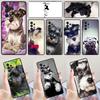 Miniature Schnauzer Puppy Dog Phone Case For Samsung A42 A31 A40 A51 A71 A32 A80 A91 A52 A72 A73 A20e A21S A50 A70 A11 A12 Cover
