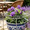 Anneau de Support Métallique pour Plantes de Jardin, Cage Robuste pour Pivoines Dahlias, Support à Fleurs Empilable pour Plantes d'Intérieur et d'Extérieur, Anneau Décoratif à Traverser