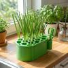 Stylish Hydroponic Pot with Scissors for Garlic and Scallion Regrowth Enhances Kitchen Decor