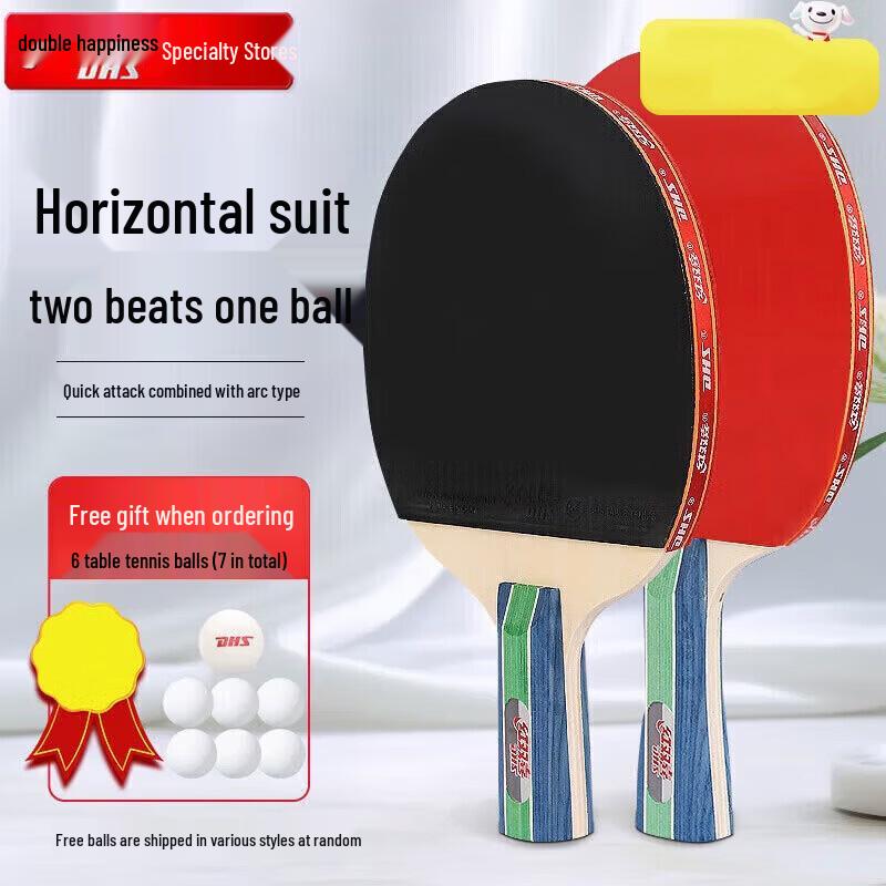 DHS Type I Table Tennis Racket Set
