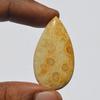 Natural Fossil Coral Gemstone Cabochon, Top Quality Indonesians Fossil Coral Cabochon Craft Supply 35 Carats Pear Shape, Jewelry Making