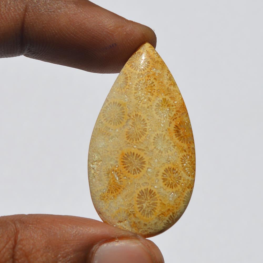 Natural Fossil Coral Gemstone Cabochon, Top Quality Indonesians Fossil Coral Cabochon Craft Supply 35 Carats Pear Shape, Jewelry Making