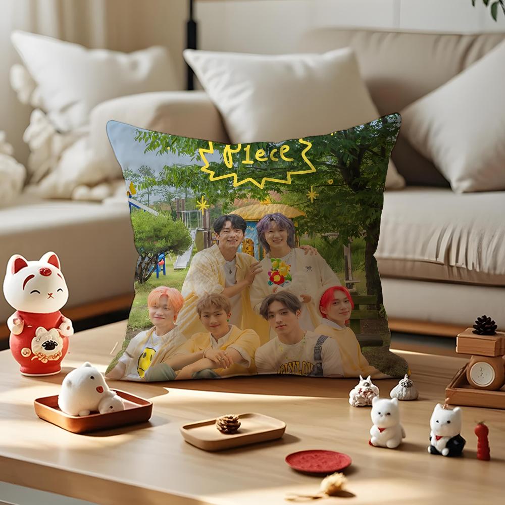Pop KPOP PPHarmony Cushion Cover Silky Short Plush with Invisible Zipper Dustproof Sofa Pillow Cover for Home Decor