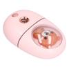 Beauty Sprayer Pink Portable Moisturizing Hydrating ColdType NanoLevel Hydrating Instrument for Home