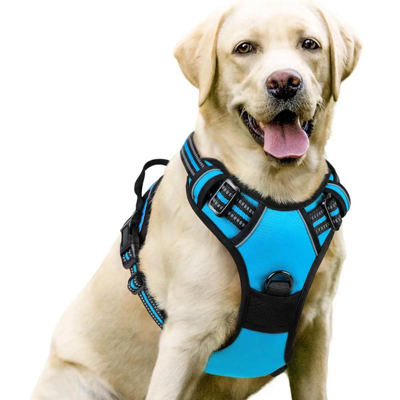 Dog Nylon Chest Harness and Leash for Large Pets